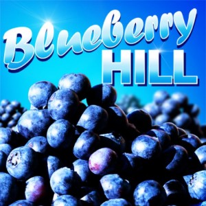 blueberry_hill403x403_1